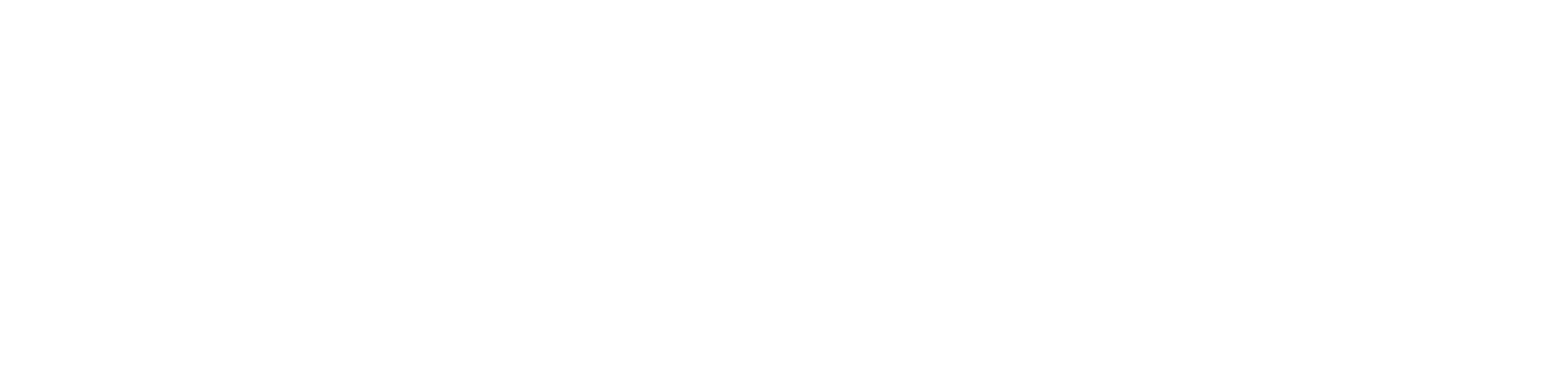 Kod Uzmanı